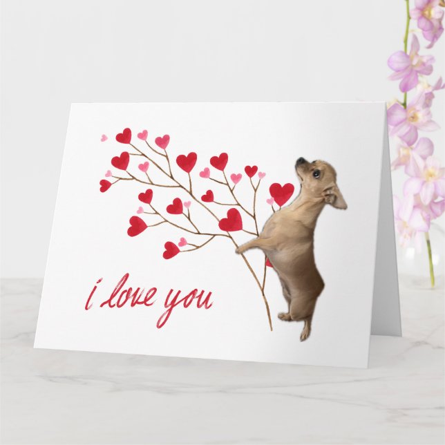 Tarjeta Te Amo Chihuahua Card (Orquídea)