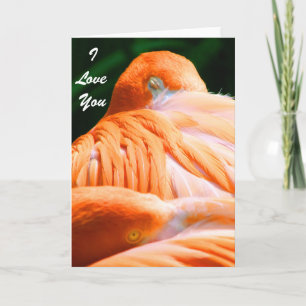 Tarjeta Te amo/ Cualquier ocasión _Tarjeta