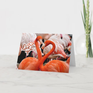 Tarjeta Te Amo Dos Hermosos Pájaros Flamenco