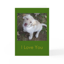 Te amo - eres mi humano favorito