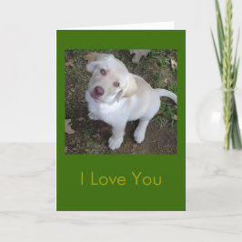 Tarjeta Te amo - eres mi humano favorito