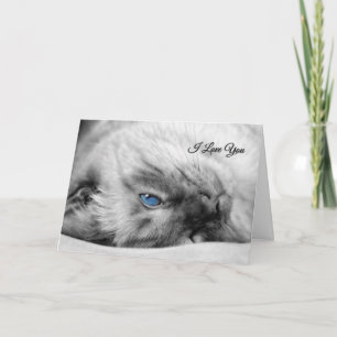Tarjeta Te amo gato siamés con ojos azules