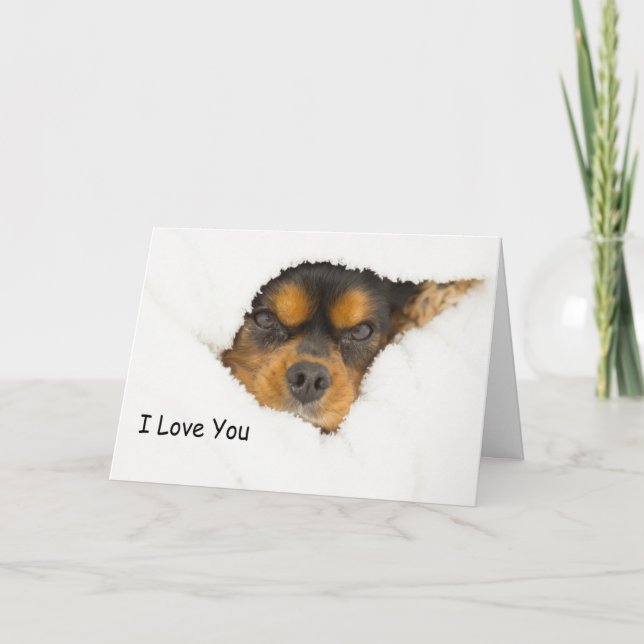 Tarjeta Te Amo King Charles Spaniel Asomándose (Anverso)