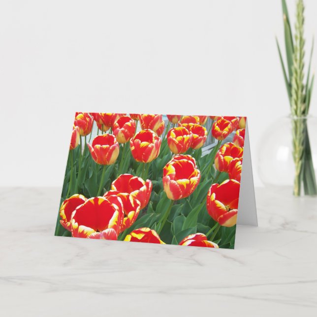 Tarjeta Te amo mamá, feliz día de la madre (Anverso)