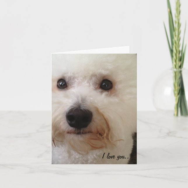 Tarjeta ¡"Te amo… más! " (Anverso)