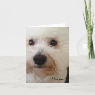 Tarjeta ¡"Te amo… más! "