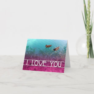 Tarjeta te amo : pareja de patos