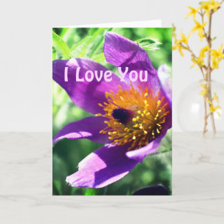 Tarjeta Te Amo Pasque Flower Personalizada