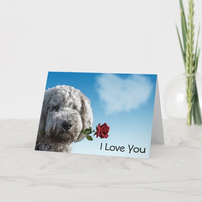 Tarjeta Te Amo Red Rose (Anverso)