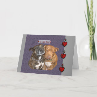 Tarjeta Te amo Staffys Snuggling