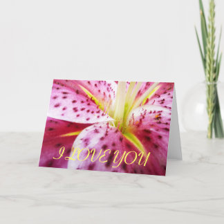 Tarjeta Te Amo Stargazer Lily Card