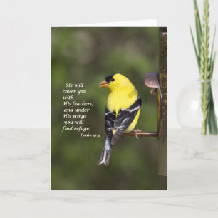 Tarjeta Te cubrirá con sus plumas