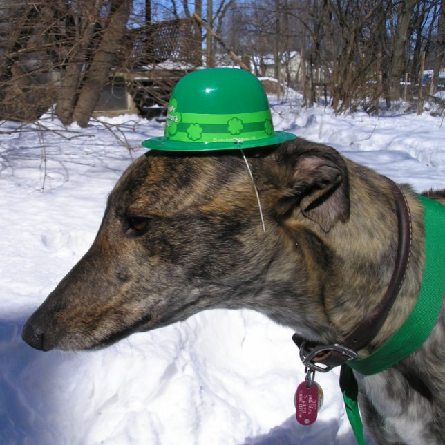 Tarjeta "¡Te desafío a una carrera!" (Subido por el creador)