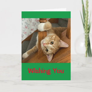 Tarjeta ¡Te Deseamos Navidades Meowy!