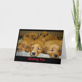 Tarjeta ¡Te Deseo Una Feliz Navidad Para Perros!