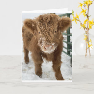 TARJETA TE DOY UN "MOO" EN TU "CUMPLEAÑOS 50"