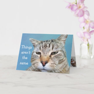 Tarjeta Te echo de menos un gato solitario