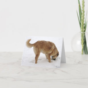 Tarjeta Te echo mucho de menos, estoy actuando raro - occi