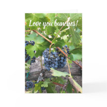 Te encantan los Bunches