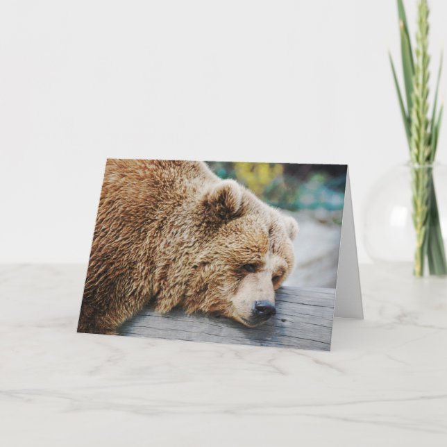 Tarjeta Te estás perdiendo el humor del oso triste (Anverso)