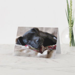 Tarjeta ¡Te Extraño!