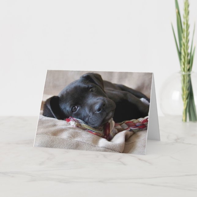 Tarjeta ¡Te Extraño! (Anverso)