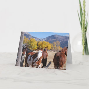 Tarjeta Te Extraño Amigo Caballos Arte Occidental Montaña