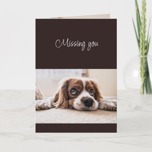 Tarjeta Te extraño ¿Cómo estás? Triste Solitario Perro lin (Anverso)