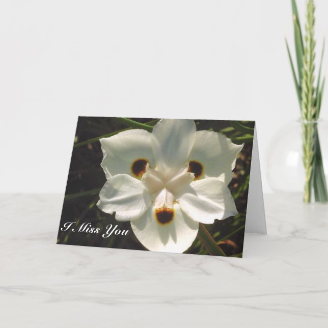 Tarjeta Te Extraño/Cualquier Oportunidad_ Card (Anverso)