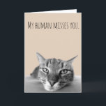 Tarjeta Te Extraño De Cat Funny<br><div class="desc">Este diseño se creó a través del arte digital. Puede ser personalizado en el área de proporcionar o personalizar eligiendo la opción de pulsar para personalizar y cambiando el nombre, las iniciales o las palabras. También puede cambiar el color y estilo del texto o eliminar el texto para un diseño...</div>