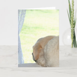 Tarjeta Te extraño el laboratorio amarillo