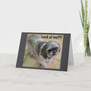 TARJETA "TE EXTRAÑO EN ACCIÓN DE GRACIAS"