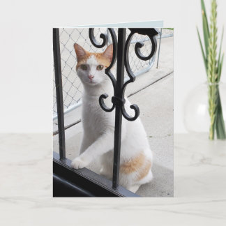 Tarjeta Te extraño gato