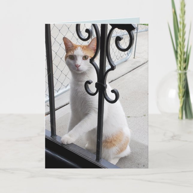 Tarjeta Te extraño gato (Anverso)