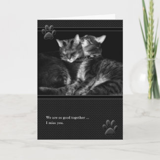 Tarjeta Te Extraño Gray Tabby Cats