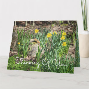 Tarjeta Te Extraño Pensando En Ti