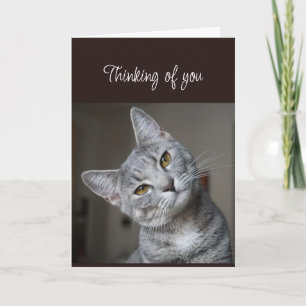 Tarjeta Te Extraño Pensando en Ti Gato Curioso