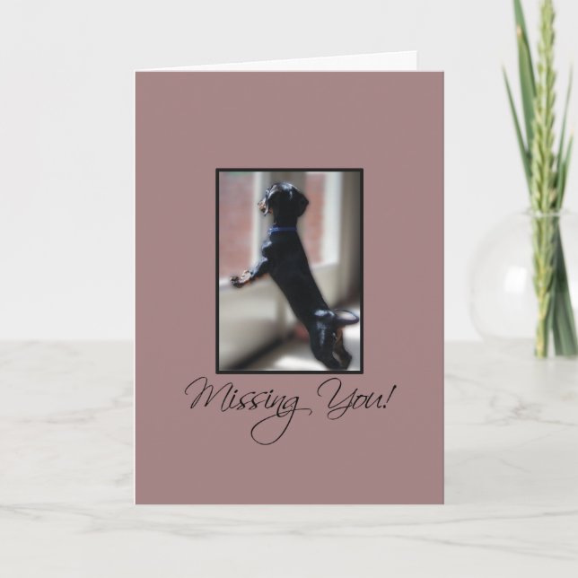 Tarjeta Te extraño perrito vigilando desde la ventana (Anverso)