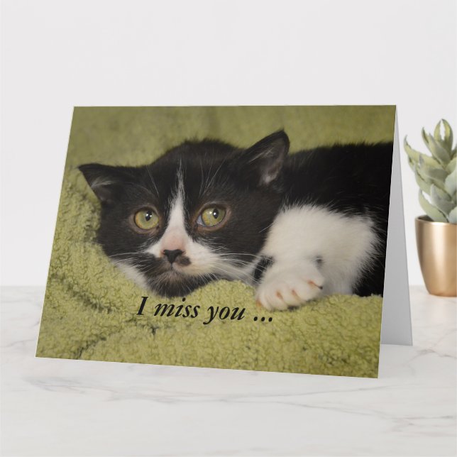 Tarjeta Te Extraño, Shy Tuxedo Kitten Card (Planta pequeña)