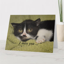 Tarjeta Te Extraño, Shy Tuxedo Kitten Card