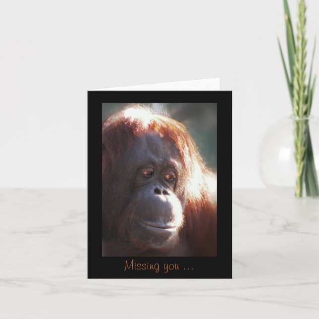 Tarjeta Te falta... (Anverso)