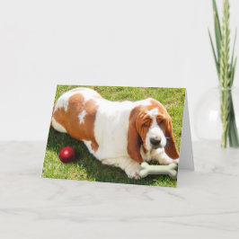 Tarjeta "Te falta" con el enlace de Basset