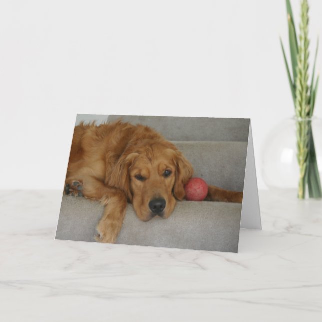 Tarjeta ¡Te falta la tarjeta! (Anverso)