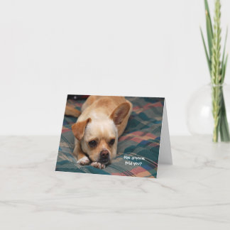 Tarjeta ¿Te Ha Dicho Alguien?