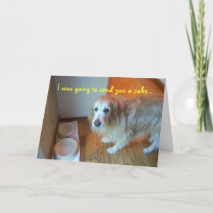 Tarjeta Te iba a enviar una torta...