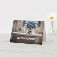 Te Sientes Mejor Perro Cura Chihuahua
