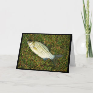 Tarjeta ¿Te Siento Como Un Pescado Fuera Del Agua? Obtener