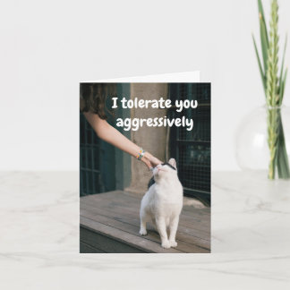 Tarjeta Te Soporto Divertido Desde El Gato
