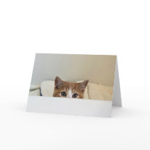 "Te veo" - Louie se pone cara a cara