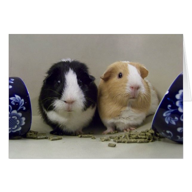 Tarjeta "Tea-Time" en blanco (Anverso (Horizontal))